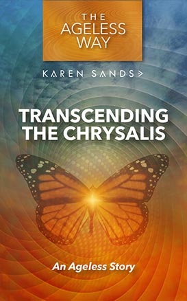 Transcending The Chrysalis book cover